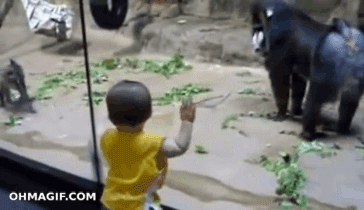 dbfa3e385fcd82dfdb96f4bd0c5