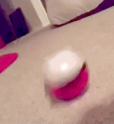 236fd1d50c405b1c4a2a31688a4bb63c697c8d391c53596465e06e3dbbc79561_1