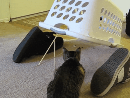 00f0e2a37f557dbc385bafa9c94