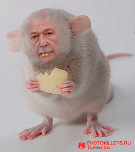 Безимени-1