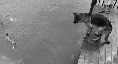 1434816861_311161423