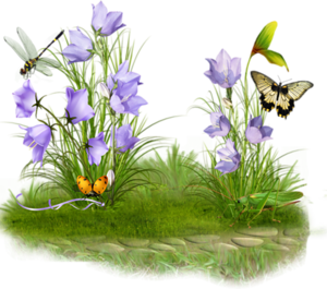 колокольчики