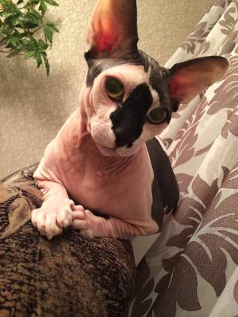 image-24-06-15-09-41-3