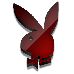 11068-Kavel-Playboy