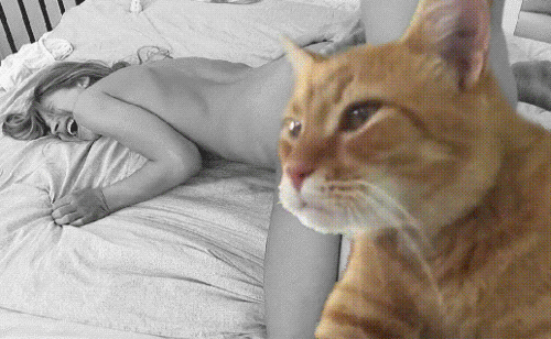 -девушка-йога-NSFW-1850475