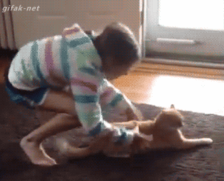 b691abd1dff92b2ee0b3875063d