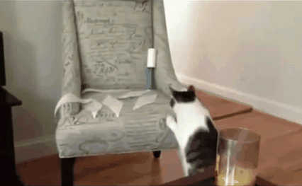 1436471514_700484344