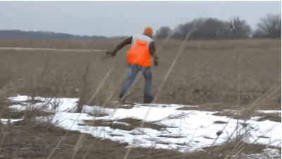 1436428290-e7bdda9b383da9e73a59dffaf013d403