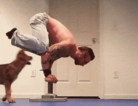 gif_06203bbdb62f1800e484a98f6a78ecc4