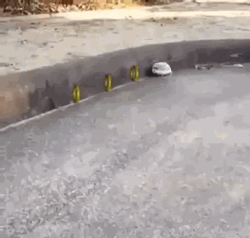 Sonic-фэндомы-StH-gif-Sonic-the-hedgehog-2049870