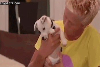 49704a60d189820128210f37483