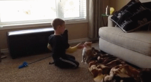 c5e034ea5714b4f38941f5fabcb