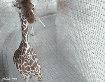 734dcf59c009edaf4e5072c8129