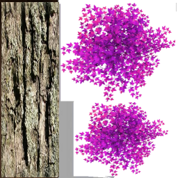 ivy_busy113_yapfiles.ru