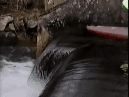 -сплав-неудачник-байдарка-2276158