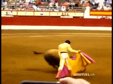 sbili_gusenitsu_na_polnoi_774_skorosti