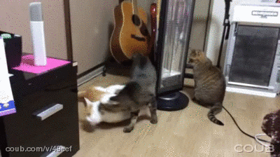 D09AD0BED0B3D0B4D0B0D0BAD0BED182D0B0D0BCD181D0BAD183D187D0BDD0BE