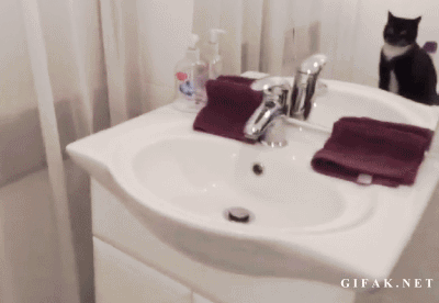 gifkikotyepesochnica640987_yapfiles.ru