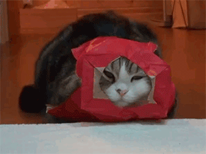 -гифки-чёт-приуныл-грусть-печаль-2281376