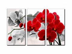 513f91d0a25765a85bb83c5d95dc3e3d
