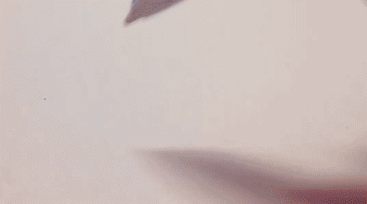 -случай-важных-переговоров-подпись-хуй-gif-2299403