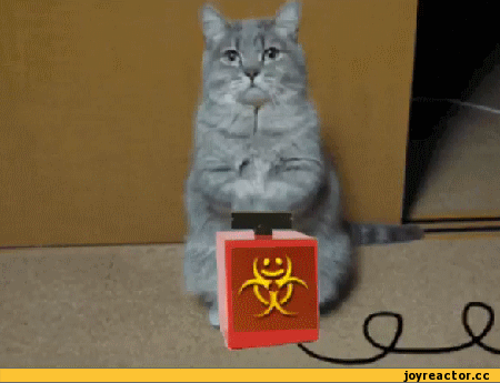 D0B3D0B8D184D0BAD0B8D180D0B5D0B0D0BAD182D0BED180D0BAD0BED182D0BFD180D0B5D0B4D0BED182D0B2D180D0B0D182