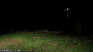 some-gifs-that-sum-up-your-first-sexual-experience-9