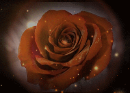 GoldenRose