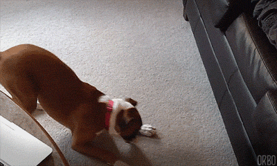 fe38787ff591f2028964d2c11d9