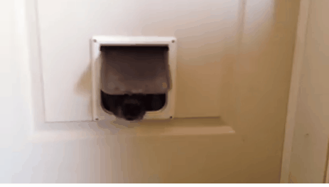 b2f51230e834dbe476d76b7b025