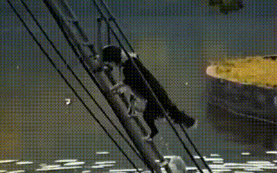 d0a2a95d18d6591f7619dfd48ec