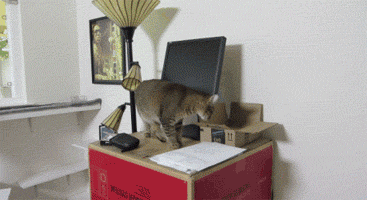 1438868682_637732169 (1)