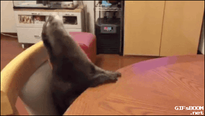 1439020449_673419936