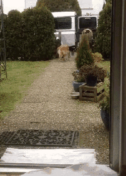 1439061855_254419862