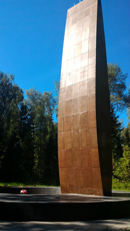 Гагарин и Серегин