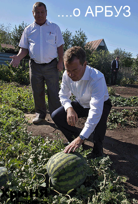 медведев-и-Арбуз