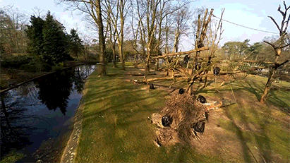 -дрон-шимпанзе-обезьяна-2019652