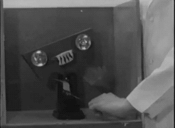 1439369079_454437613