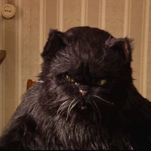 Котейка Бегемот