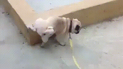 1439583835_1111131857