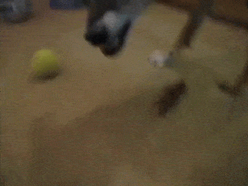 1439657689_1187902195