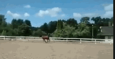 1439808935_1041948694