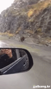 1439706436_1387983355