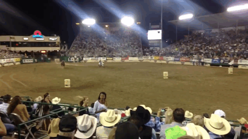 gifs_11