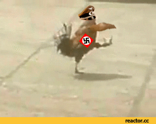 -фашист-нацист-дебил-1098850