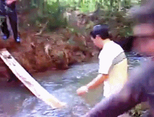 stream20crossing20fail