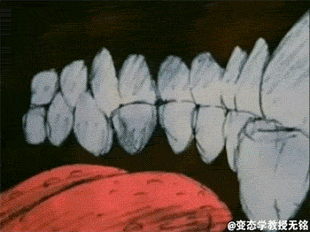 2515af0bb973300f92bae8e1f3b