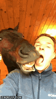 giphy