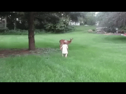 1440404564_1930980721