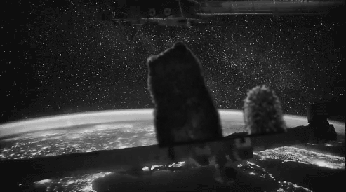 Медвежонок